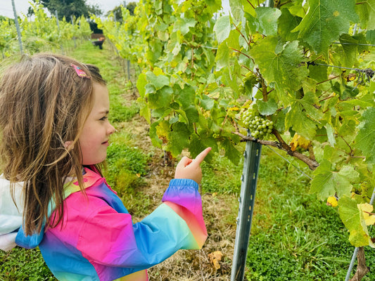 Grapes Ahoy!