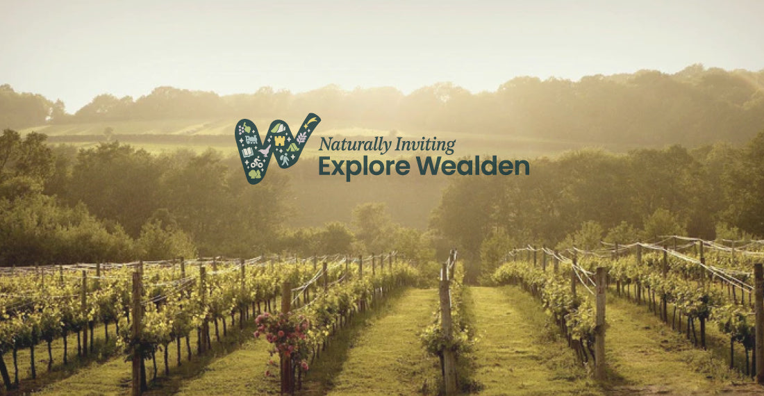 Wealden Wine Trail Wine Tasting with Oz Clarke